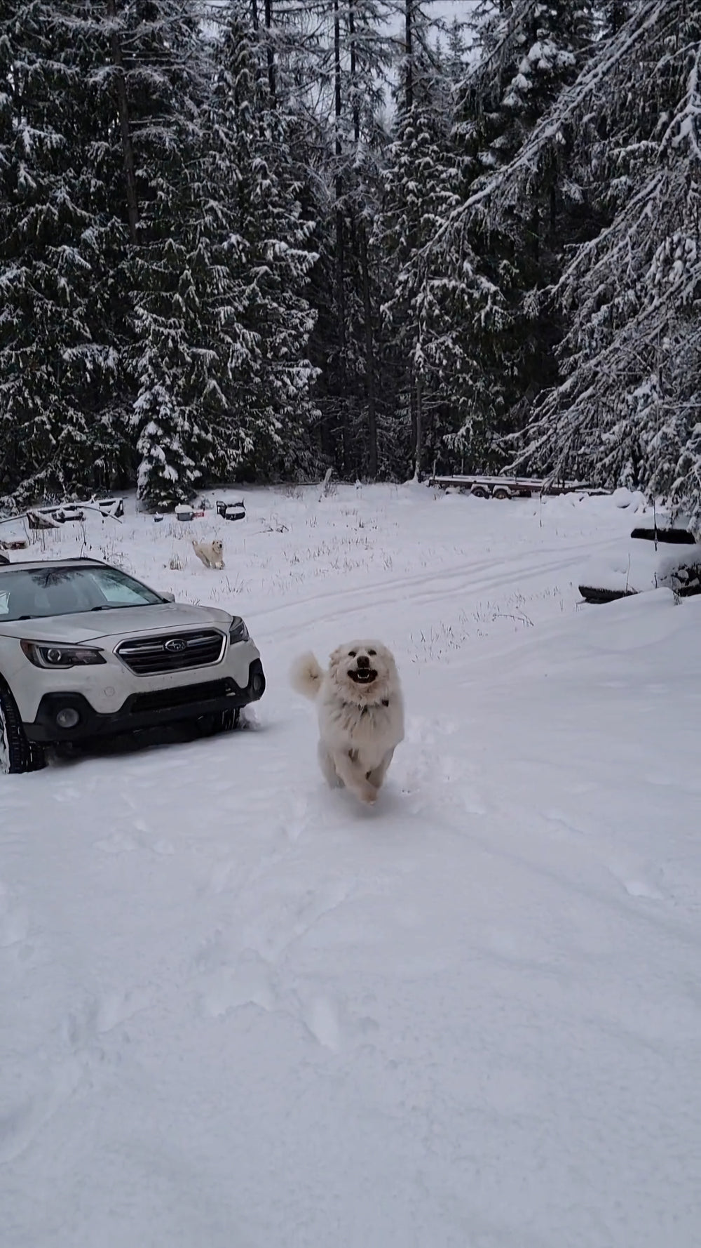 T: Transurfing My Way Right Into (And Out Of) Being Stuck In The Snow